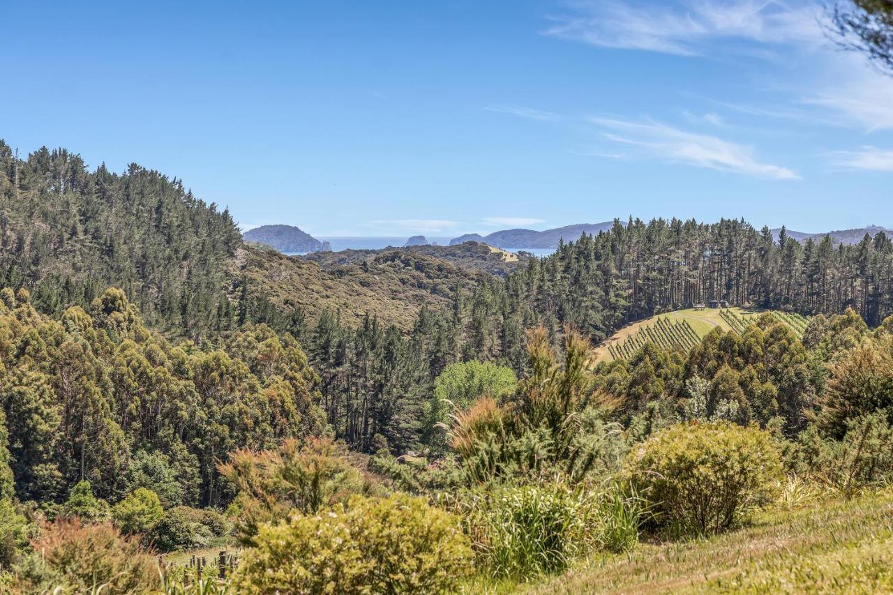 Paroa Bay Chalets - Te Whare Kereru Рассел Екстер'єр фото